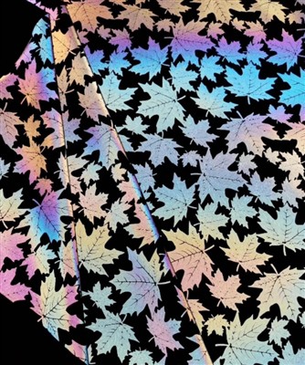 ความแตกต่างระหว่างการเรืองแสง การเรืองแสง และการสะท้อน